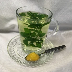 Frischer Pfefferminz Tee